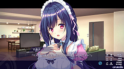 QUALIA ����«�ε��ס�