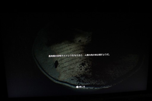 ꡼ No.006Υͥ / ֥롼ƥPS5ǥץ쥤ݡȡʬξʬʤǡĺ줿֤æФߤץåۥ顼TGS2025