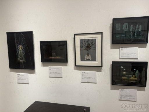 ꡼ No.005Υͥ / : Slitterheadפοؤ˿롽Τɤ륳󥻥ץȥŸ&#39641;θŸ¤ǳ