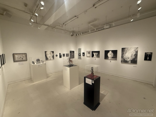 ꡼ No.009Υͥ / : Slitterheadפοؤ˿롽Τɤ륳󥻥ץȥŸ&#39641;θŸ¤ǳ