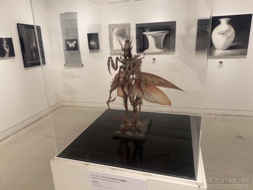 ꡼ No.012Υͥ / : Slitterheadפοؤ˿롽Τɤ륳󥻥ץȥŸ&#39641;θŸ¤ǳ