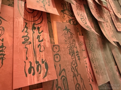 ꡼ No.022Υͥ / : Slitterheadפοؤ˿롽Τɤ륳󥻥ץȥŸ&#39641;θŸ¤ǳ