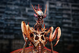 ꡼ No.015Υͥ / : Slitterheadפȯ1ǯǰPOP UP STORE115굪ԢŹ Ź˴ָꥪץ