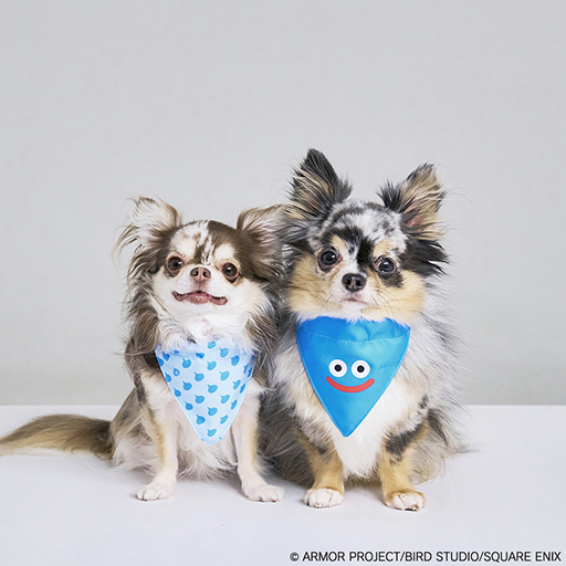 ���������꡼ No.006�Υ���ͥ������ / ���饤��Υɡ��෿�ڥåȥϥ����䡤�Х����������ɤΥ����ץȥ��ʤ�ͽ������档��DQ�ס�FF�ס�KH�ץ��꡼���Υڥåȥ��å���ȯ�����