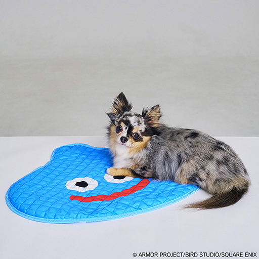 ���������꡼ No.007�Υ���ͥ������ / ���饤��Υɡ��෿�ڥåȥϥ����䡤�Х����������ɤΥ����ץȥ��ʤ�ͽ������档��DQ�ס�FF�ס�KH�ץ��꡼���Υڥåȥ��å���ȯ�����