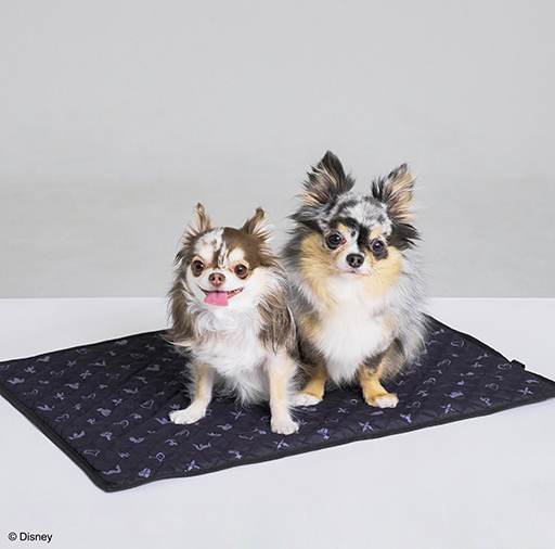 ���������꡼ No.018�Υ���ͥ������ / ���饤��Υɡ��෿�ڥåȥϥ����䡤�Х����������ɤΥ����ץȥ��ʤ�ͽ������档��DQ�ס�FF�ס�KH�ץ��꡼���Υڥåȥ��å���ȯ�����