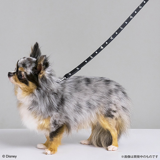 ���������꡼ No.020�Υ���ͥ������ / ���饤��Υɡ��෿�ڥåȥϥ����䡤�Х����������ɤΥ����ץȥ��ʤ�ͽ������档��DQ�ס�FF�ס�KH�ץ��꡼���Υڥåȥ��å���ȯ�����