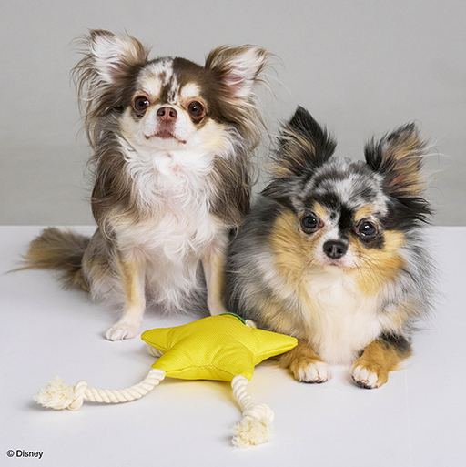 ���������꡼ No.022�Υ���ͥ������ / ���饤��Υɡ��෿�ڥåȥϥ����䡤�Х����������ɤΥ����ץȥ��ʤ�ͽ������档��DQ�ס�FF�ס�KH�ץ��꡼���Υڥåȥ��å���ȯ�����