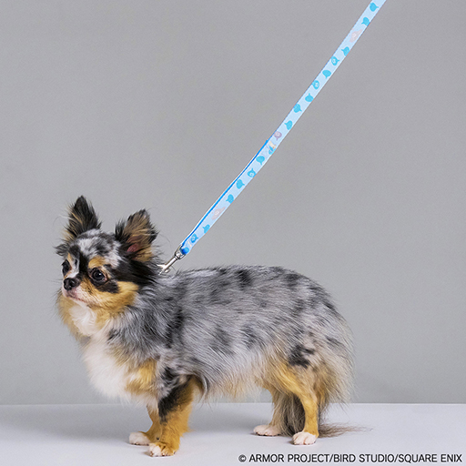 ���������꡼ No.023�Υ���ͥ������ / ���饤��Υɡ��෿�ڥåȥϥ����䡤�Х����������ɤΥ����ץȥ��ʤ�ͽ������档��DQ�ס�FF�ס�KH�ץ��꡼���Υڥåȥ��å���ȯ�����