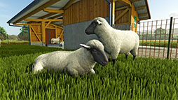 Farming Simulator 25סʪ֤ơס֥ɥޥפΥȥ쥤顼ƤĹγƤûγƤ2ݤǤ