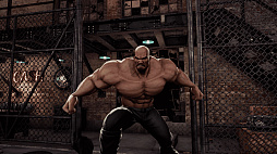 ꡼ No.010Υͥ / ֥֥ɥ饴 סܥ餿臘ͻҤϿ쥤ɡޡΥ