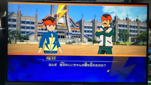 ꡼ No.002Υͥ / ֥ʥޥ֥ ͺΥȥ꡼ɡ׻ͷݡȡ礭ۤʤʬʥץ쥤θ줽TGS2025