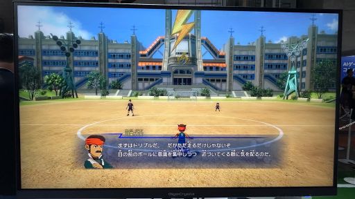 ꡼ No.003Υͥ / ֥ʥޥ֥ ͺΥȥ꡼ɡ׻ͷݡȡ礭ۤʤʬʥץ쥤θ줽TGS2025