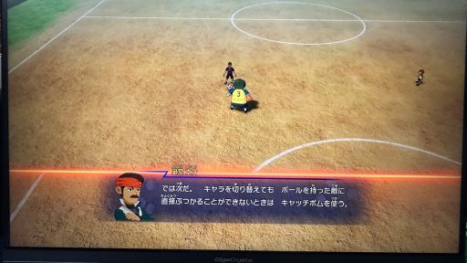 ꡼ No.009Υͥ / ֥ʥޥ֥ ͺΥȥ꡼ɡ׻ͷݡȡ礭ۤʤʬʥץ쥤θ줽TGS2025