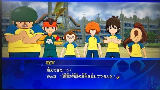 ꡼ No.010Υͥ / ֥ʥޥ֥ ͺΥȥ꡼ɡ׻ͷݡȡ礭ۤʤʬʥץ쥤θ줽TGS2025