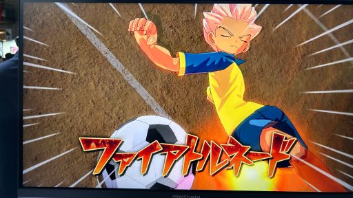 ꡼ No.014Υͥ / ֥ʥޥ֥ ͺΥȥ꡼ɡ׻ͷݡȡ礭ۤʤʬʥץ쥤θ줽TGS2025