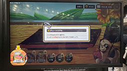 ꡼ No.002Υͥ / 襤ʤ餻ҤȤƨ1ܻؤWabisabi : Sushi Derby׻ͷݡȡTGS2025