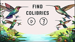 Find Colibries