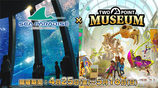 ꡼ No.004Υͥ / ֥ġݥȥߥ塼סͥͪ𤵤󡤰󤬽б餹ܸܥǰפ413˼»