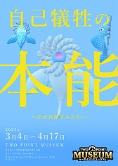 画像ギャラリー No.011のサムネイル画像 / ヘンテコ博物館経営シム「ツーポイントミュージアム」,PS5版本日発売。展示品の収集や館内デザインなどを行い,唯一無二の博物館を運営する