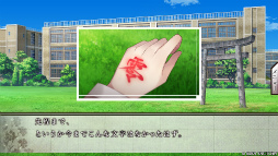 ꡼ No.007Υͥ / Υץ쥤ݡֿ̾digit for Nintendo Switchפ¤ɤ롣ļƱΤ襤Τʤǡޤι!?