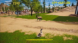 Crazy Goose Simulator