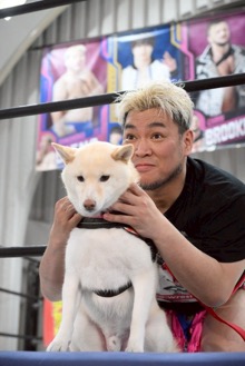 ���������꡼ No.008�Υ���ͥ������ / �˿��ǥ����ΤΥ�����ҥҥ硼 ��������837��ֻפ��Ф򤷤ޤä�Ȣ��