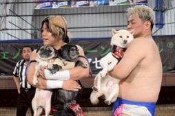 ���������꡼ No.009�Υ���ͥ������ / �˿��ǥ����ΤΥ�����ҥҥ硼 ��������837��ֻפ��Ф򤷤ޤä�Ȣ��