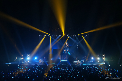 ꡼ No.022Υͥ /  ͤ˥ҥ᤭⹻֤롪֤Ȥ᤭ꥢ30ǯ᤯ǮΥơݡ