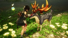 ���������꡼ No.024�Υ���ͥ������ / �֥�ߥ��Υ��ȥꥨ�ס����Х󥿥��ȥ�ࡼ�ӡ��������Ĵ���ĥ��С��䡤��ߥ���õ������¿�̤ʥե�����ɤξ�������餫��