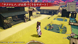 ���������꡼ No.005�Υ���ͥ������ / ��ζ�ι� �롼��ե����ȥ꡼�ס�̵���ɲå���ƥ�ġ�ŷ��Υ����ʥҥ�פξҲ�������ء��ۿ������ɥ饤��ȥե��󥭥åȤ������