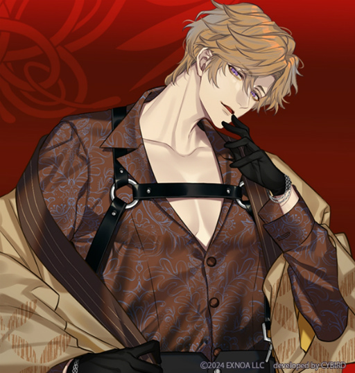 ���������꡼ No.017�Υ���ͥ������ / �फ������̤ʥ�å�����������̴��ϰ��̲���ĳ�ץϡ��ե��˥С����꡼���������ԡ�2025ǯ����ۿ��������10�祻�����������ڡ���ɳ�����