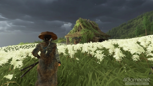 ꡼ No.022Υͥ / ʤܰٻΤϤΰΤGhost of Yteiפ⤤Ȥ˸Ƥ롤̤Ϥ͡Ϥʪ