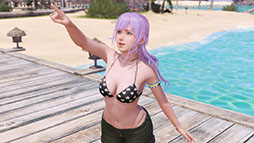 ���������꡼ No.011�Υ���ͥ������ / ��Venus Vacation PRISM - DEAD OR ALIVE Xtreme -�ס�ȯ������3��6������3��27�����ѹ�