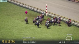 ꡼ No.020Υͥ / Υץ쥤ݡϡWinning Post 10 2025פο⡼ɡֺǶϥɡ饤פϡۥȤ˶ǿͤǤڤ롩