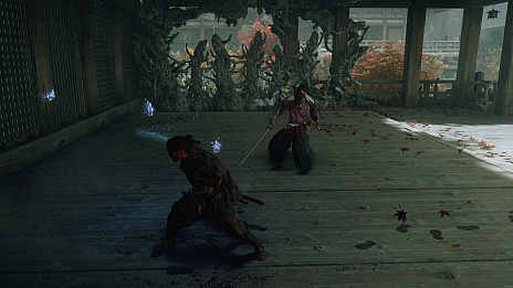 ꡼ No.015Υͥ / ֵ Way of the Swordפκǿȥ쥤顼¢ȸη㤷襤ǧǤ