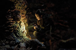 ꡼ No.003Υͥ / ɥޡTHE LAST OF US 2סܸǤۿU-NEXTǳϡ줵󡤿¤饲ǤƱ㥹Ȥ