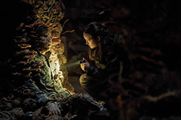 ꡼ No.006Υͥ / ɥޡTHE LAST OF US 2סǥ󥿥򳫻ϡ1112ˤϥ֥롼쥤ץ꡼ȡܥå꡼