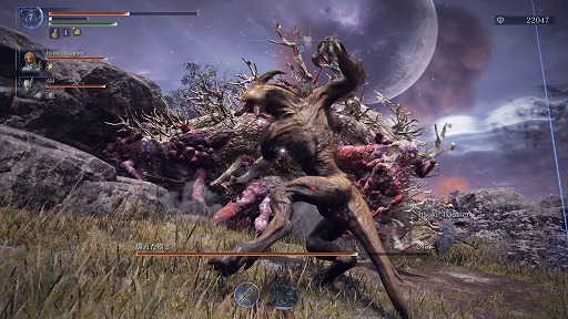 ꡼ No.017Υͥ / Υץ쥤ݡϡELDEN RING NIGHTREIGNפ˻ơ񤷤ơƳڤǤȶϤγڤɤ˿ڤäۿΥԥ󥪥