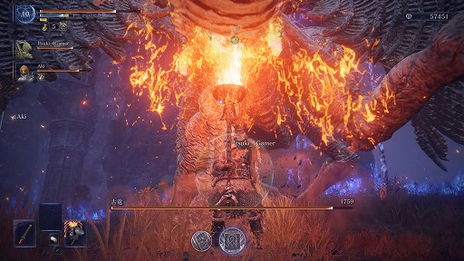 ꡼ No.018Υͥ / Υץ쥤ݡϡELDEN RING NIGHTREIGNפ˻ơ񤷤ơƳڤǤȶϤγڤɤ˿ڤäۿΥԥ󥪥