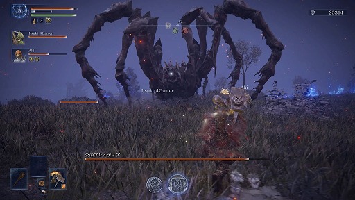 ꡼ No.024Υͥ / Υץ쥤ݡϡELDEN RING NIGHTREIGNפ˻ơ񤷤ơƳڤǤȶϤγڤɤ˿ڤäۿΥԥ󥪥