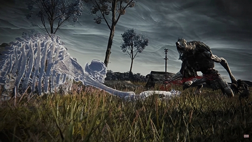 ꡼ No.003Υͥ / ELDEN RING NIGHTREIGNס3ΤΤ򾤴臘RevenantԡˡɤΥȥ쥤顼