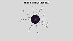 What is in the Black Box?