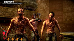 ꡼ No.009Υͥ / ѥൡǡ֥ϥ֡ǥå 2ᥤס1024ȯ