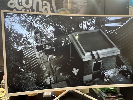 ꡼ No.007Υͥ / Luna Hopפϲ¤ʥγ˿ᤷƤѥADVμԤ԰¤ĹBIC2025