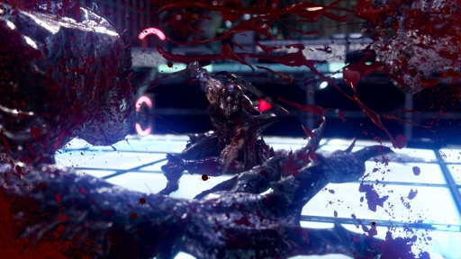 ���������꡼ No.005�Υ���ͥ������ / �Υ��󥿥ӥ塼�ϡ�NINJA GAIDEN 4��Team NINJA�ȥץ���ʥ����ॺ�ζ��Ϥ�����Ρ�ĶǦ�θ��ɡ��ֳڤ����� �Ǥ��񤷤������פȻפ碌����