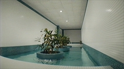 ꡼ No.008Υͥ / 󥹥ɥåФϤʤߥʥ륹ڡõDreamcoreסPC/PS5ǤSteamPS Storeۿ