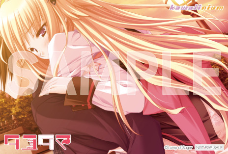 ���������꡼ No.004�Υ���ͥ������ / �ե���ƥ���������ο�������֥��ɡ�kawaiinium�פ�ȯ­��HD�ܿ��ǡ֥��楿�� -Kiss on my Deity-�פ�2025ǯ�դ�ȯ��