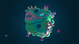 ꡼ No.004 | Star Birds