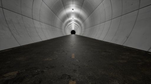 画像ギャラリー No.006のサムネイル画像 / 巨大生物が棲みついた不気味なトンネルからの脱出を目指す「寄生トンネル」,Steamストアページを公開